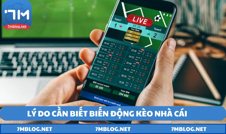 thong tin ve thay doi ty le keo nha cai tai 7m Thông tin về thay đổi tỷ lệ kèo nhà cái tại 7M