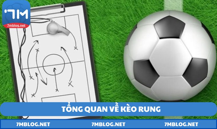 Tổng quan về kèo rung