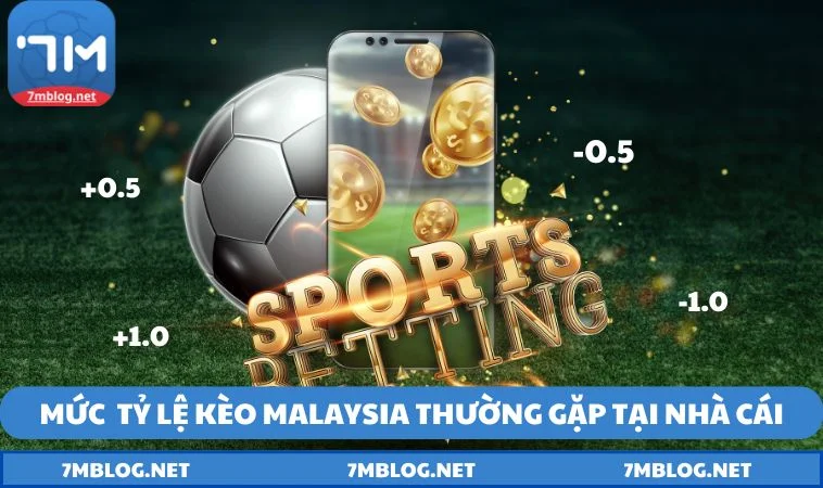 ty le keo malaysia thuong gap Tránh kèo âm có mức cao trong odds malaysia